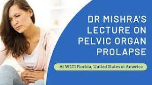 Dr. Mishra's Lecture on Pelvic Organ Prolapse at Florida.