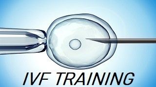 IVF Training at World Laparoscopy Hospital