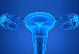 Diagnostic Laparoscopy, Hysteroscopy and Dye Test for Infertility