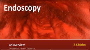 Gastrointestinal Endoscopy Procedure Preparation & Risks