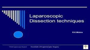 Laparoscopic Dissection Techniques Part 2