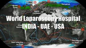 World Laparoscopy Hospital