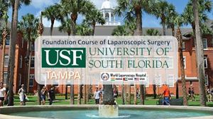 Laparoscopic Training Scholarship