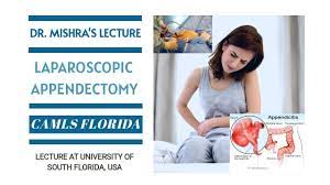 Laparoscopic Repair of Inguinal Hernia Lecture - Dr. R. K. Mishra