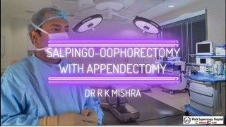 Easiest Way of Performing Laparoscopic Inguinal Hernia Repair Using Less Expensive Mesh