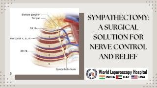 Mastering Single Instrument Dissection in Laparoscopic Incisional Hernia Repair