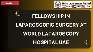 World Laparoscopic Hospital Training Institute: Celebrating Success in UAE