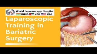 Laparoscopic Repair of Large Hiatus Hernia