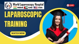 Exploring the International Laparoscopic Training Institute at World Laparoscopy Hospital