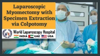 Enhancing Minimally Invasive Myomectomy: Colpotomy as a Specimen Retrieval Technique