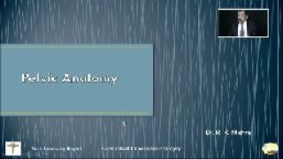 Laparoscopic Management of Bilateral Endometrioma with Pelvic Adhesion