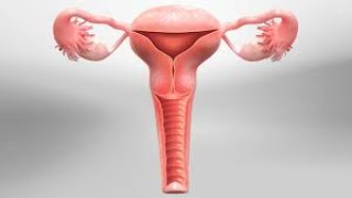 गर्भवती होना मुश्किल है? लेप्रोस्कोपिक सर्जरी से इलाज कराएं।