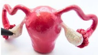 Advanced Suturing in Laparoscopic Transabdominal Preperitoneal (TAPP) Hernia Repair