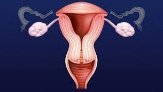 Cholecystectomy for Mucocele of the Gallbladder, Ensuring Optimal Gallbladder Health