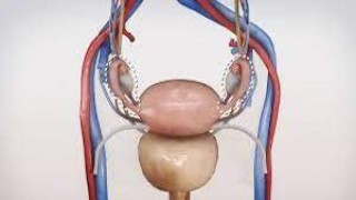 WALS 2025 Awaits: A Premier Gathering of Surgical Innovators