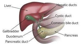Laparoscopic Trans Abdominal Pre-Peritoneal Repair of Left Direct Inguinal Hernia
