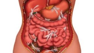 Laparoscopic Management of Posterior Intramural Fibroid