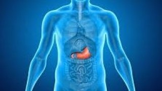 International Patients at World Laparoscopy Hospital