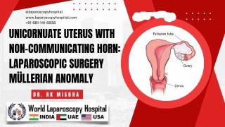 Laparoscopic Surgery for Ovarian Cyst Diseases