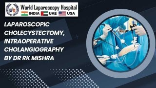 Laparoscopic Pledget
