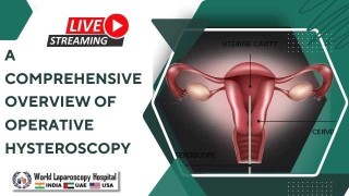 From Learners to Leaders: Surgeons' and Gynecologists' Voices from World Laparoscopy Hospital