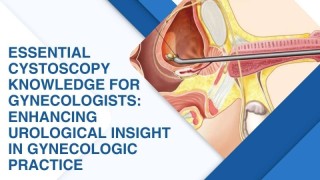 Dr. Mishra's Lecture on Laparoscopic Management of Hydatid Cyst at CAMLS, USF, Florida